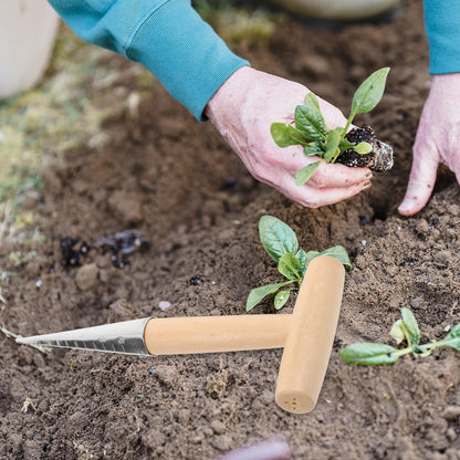 Garden Tools Planting Dibber Ergonomic Tool for Succulents & Vegetables