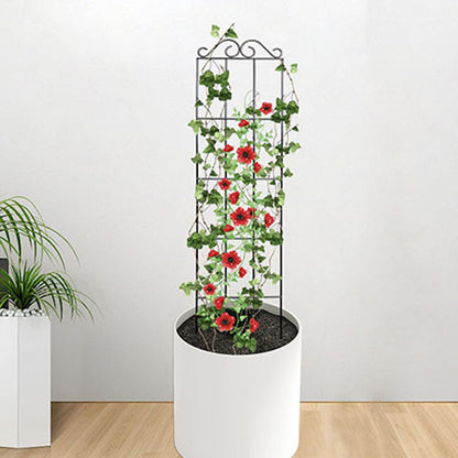 Metal Trellis for Vines - Black Iron Garden Plant Support