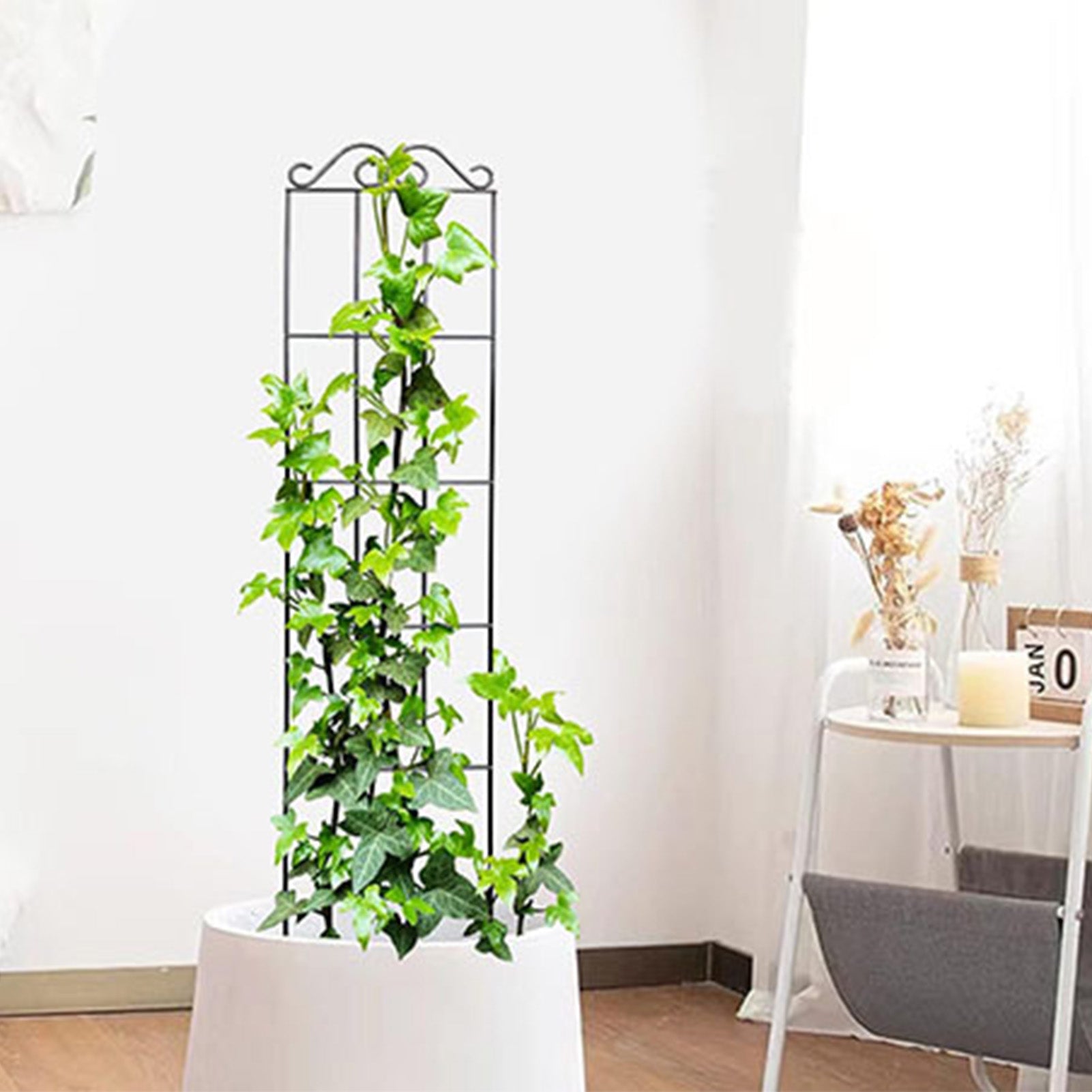 Metal Trellis for Vines - Black Iron Garden Plant Support
