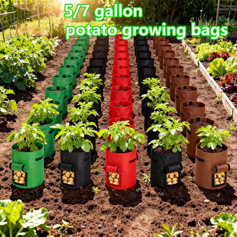 Potato Grow Bag 5/7 Gallon - Non-Woven Fabric for Vegetables