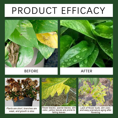 Plant Fertilizer Powder 100g: Boost Growth & Rooting