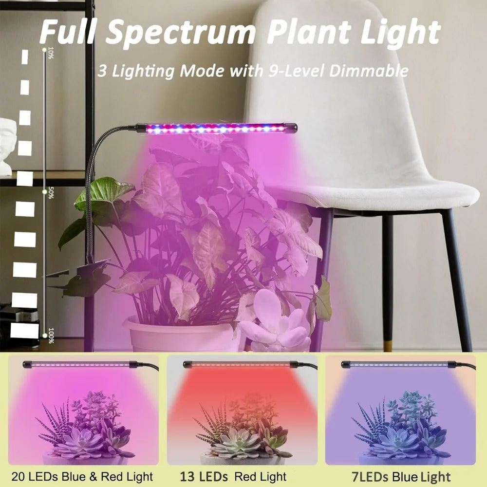 LED Light: Waterproof, Dimmable, Red/Blue, Timer