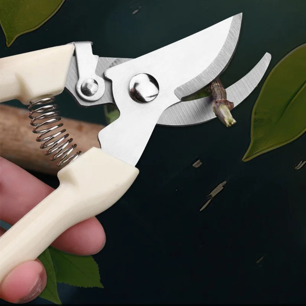 Stainless Steel Pruning Shears - Fruit & Flower Grafting Tool