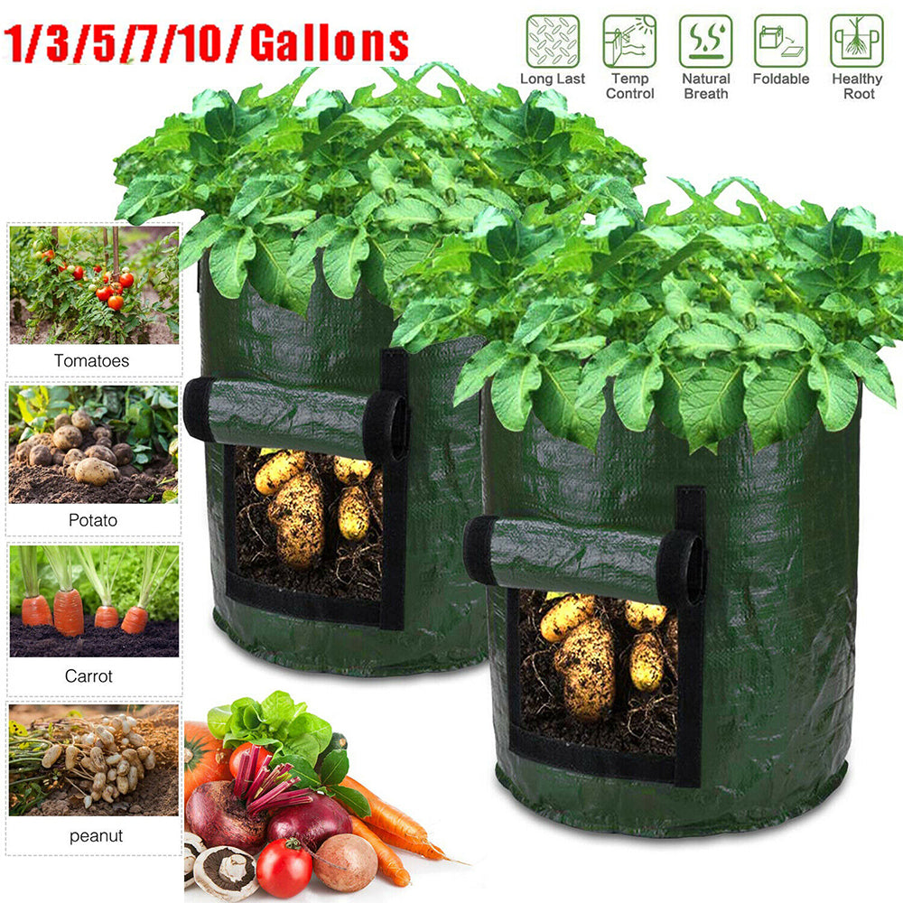 Grow Bag: 12 Gallon Potato Planter Bag - DIY Gardening Container