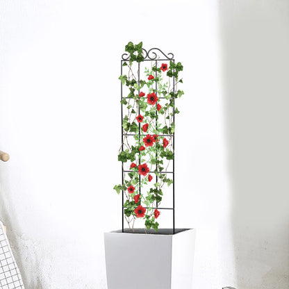 Metal Trellis for Vines - Black Iron Garden Plant Support