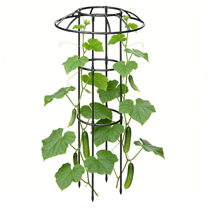 Rustproof Umbrella Trellis for Vines & Roses
