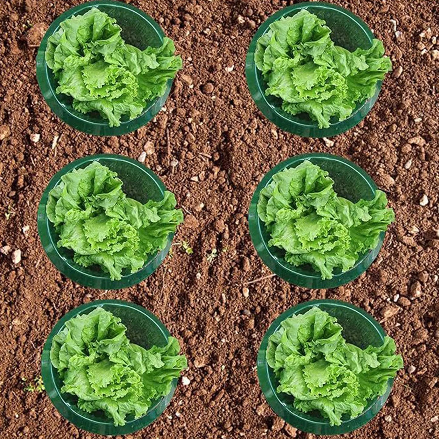 10pcs Snail  Collar Reusable Agricultural Save Water Cover Rings Agricultural Garden Accessory Tools