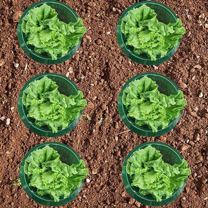 10pcs Snail  Collar Reusable Agricultural Save Water Cover Rings Agricultural Garden Accessory Tools
