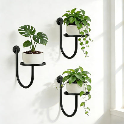 Sturdy Iron Wall Mounted Plant Holder Space Saving Bonsai Hanging Hanging Plant Stand Wall Art Black Storage Shelf Balcony