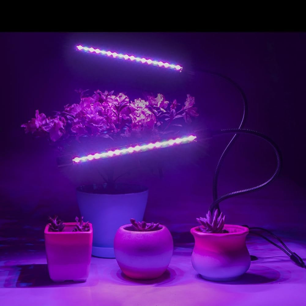 LED Light: Waterproof, Dimmable, Red/Blue, Timer