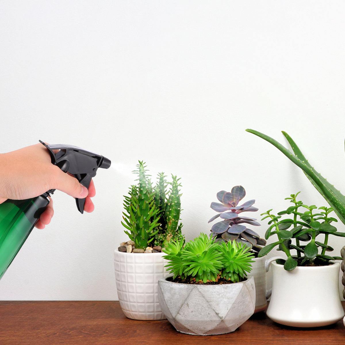 Sprayer: 500Ml Leak-Proof Mist Sprayer - Outdoor Watering Can