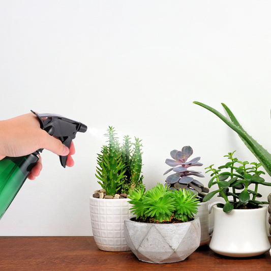 Sprayer: 500Ml Leak-Proof Mist Sprayer - Outdoor Watering Can