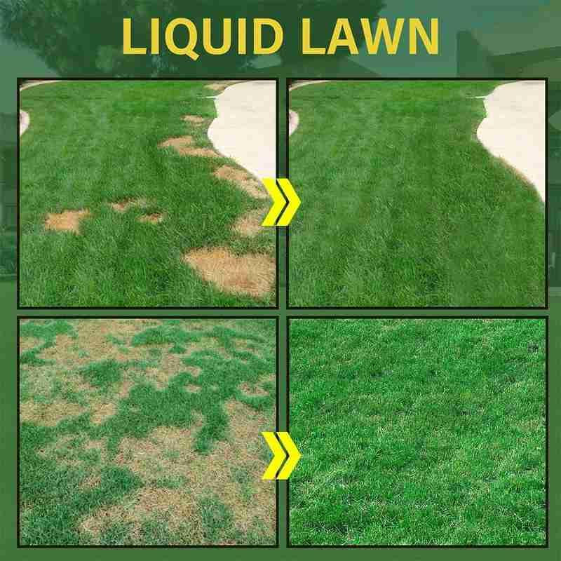 Plant Growth: Turf Grass Seed Growth Liquid - Boost Your Lawn Fast