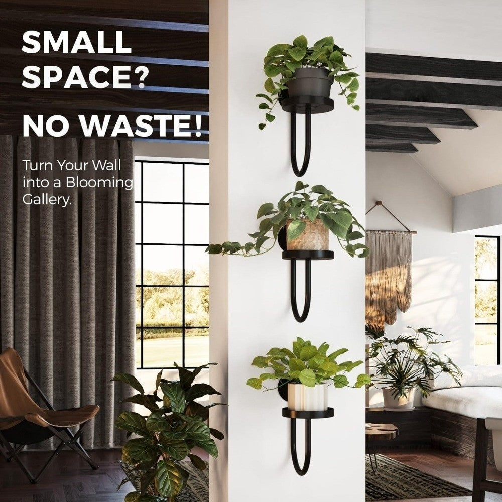 Sturdy Iron Wall Mounted Plant Holder Space Saving Bonsai Hanging Hanging Plant Stand Wall Art Black Storage Shelf Balcony