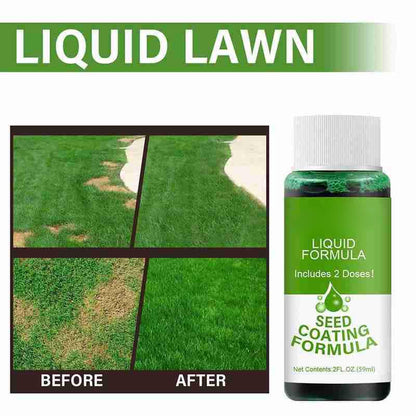 Plant Growth: Turf Grass Seed Growth Liquid - Boost Your Lawn Fast