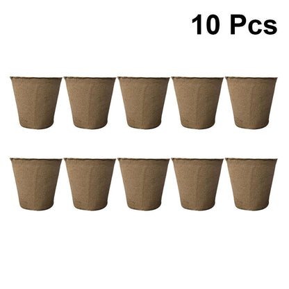 Biodegradable Seed Tray Pots 10Pcs - Eco-Friendly Nursery Trays