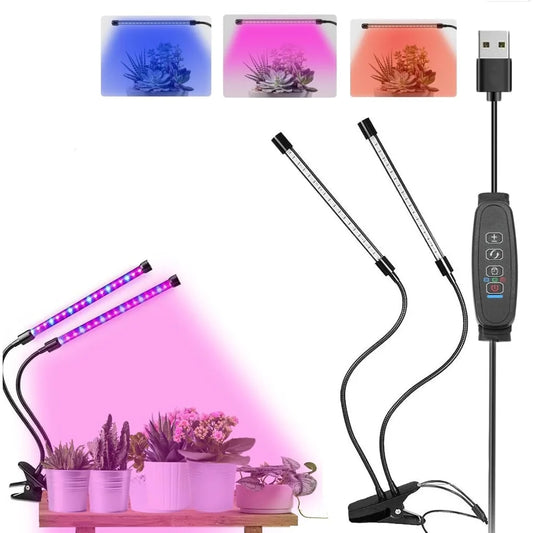 LED Light: Waterproof, Dimmable, Red/Blue, Timer