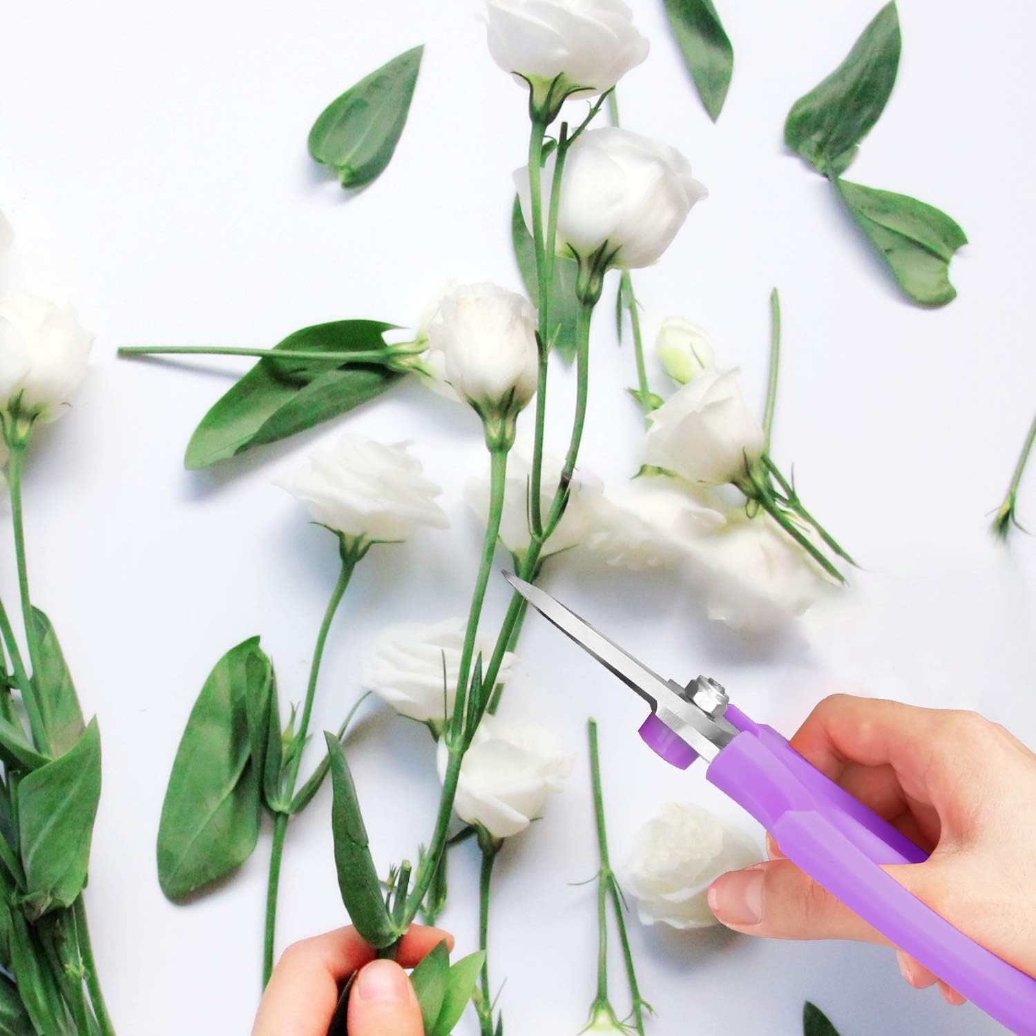 Flower Branch Scissors/Pruning Shear: Ideal for Pruning & Arrangements