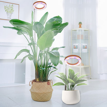 Grow Lights: LED Grow Light Full Spectrum for Indoor Plants, Timer, Adjustable