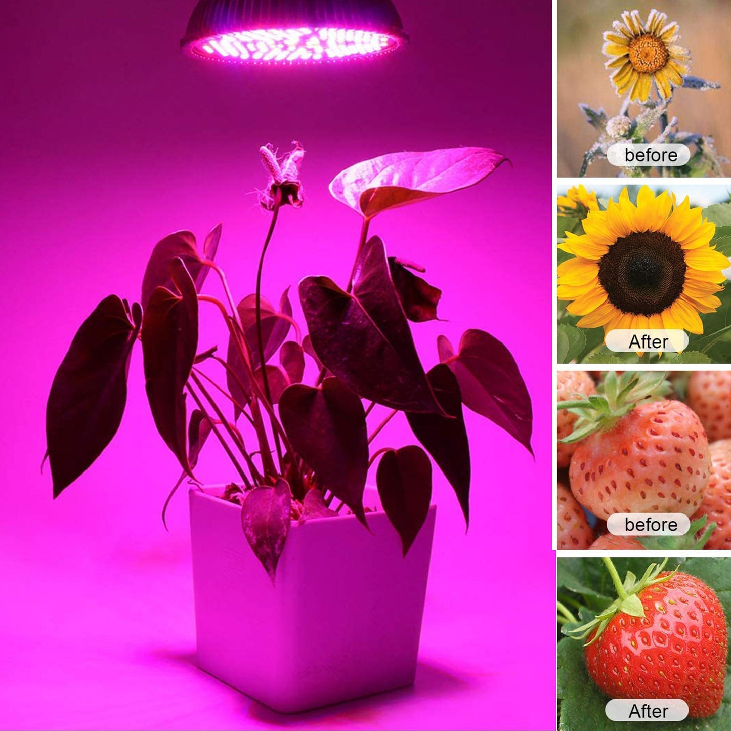 LED Grow Light: Full Spectrum 18W for Hydroponic Plants