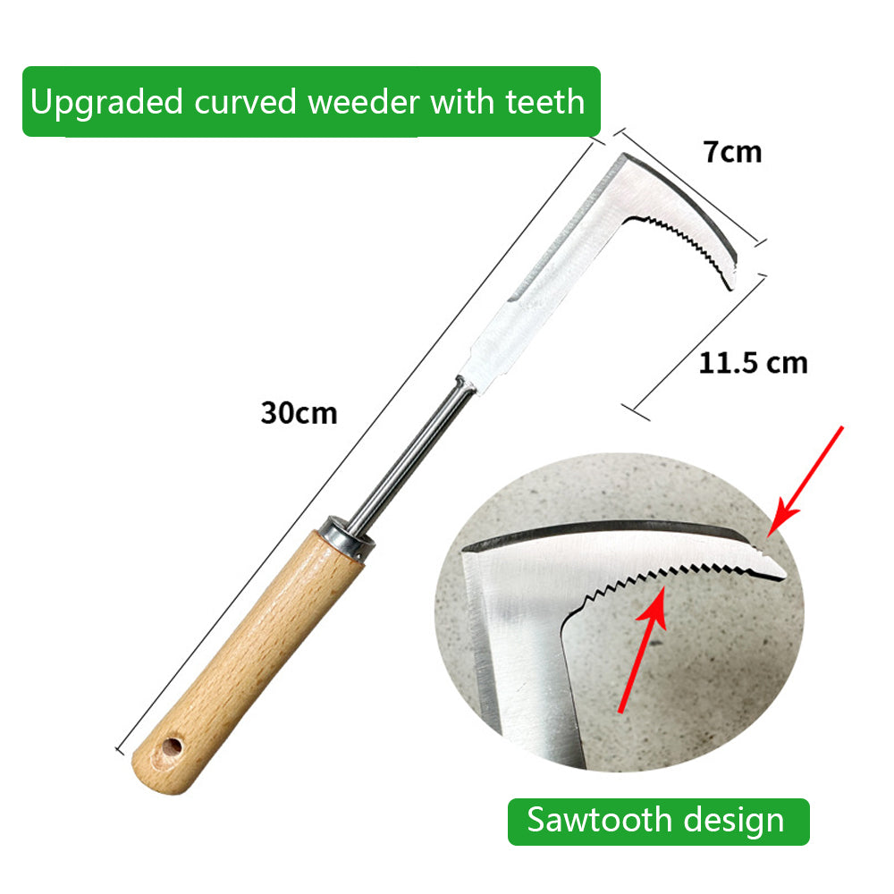 SAWTOOTH