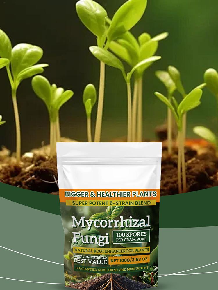 Plant Fertilizer Powder 100g: Boost Growth & Rooting