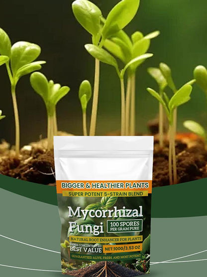 Plant Fertilizer Powder 100g: Boost Growth & Rooting