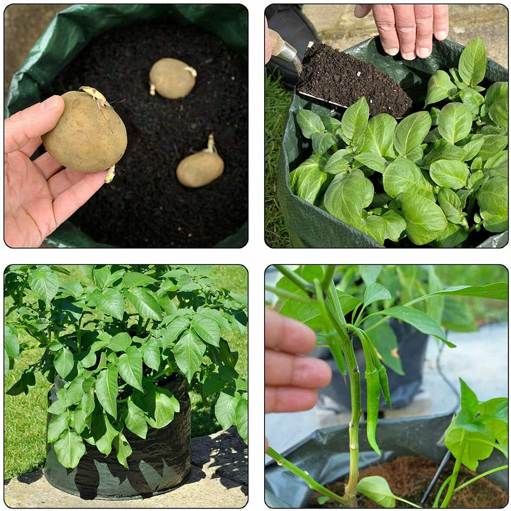 Grow Bag: 12 Gallon Potato Planter Bag - DIY Gardening Container