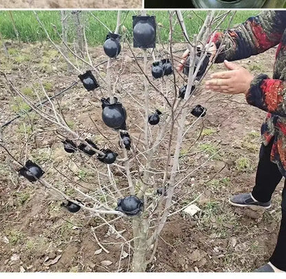 Reusable Plant Root Growing Ball High Pressure Propagation Box Lock-Type Air Layering Grafting Rooting Device for Garden Tree Br