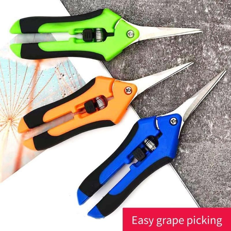 Pruning Shears: Stainless Steel Garden Scissors