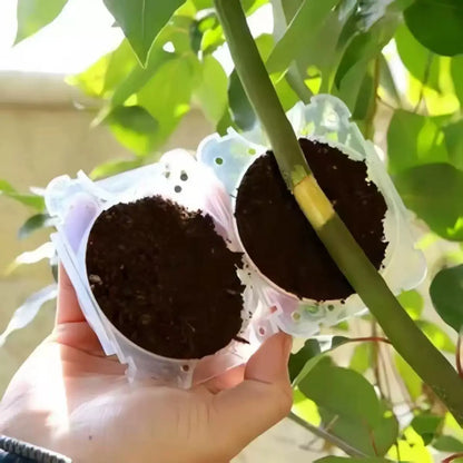 Reusable Plant Root Growing Ball High Pressure Propagation Box Lock-Type Air Layering Grafting Rooting Device for Garden Tree Br