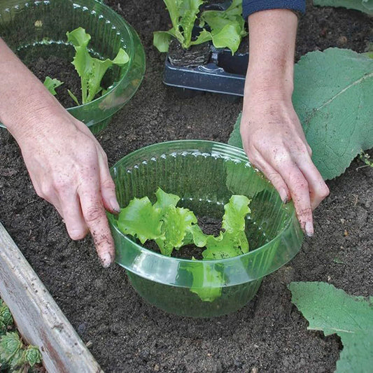 10pcs Snail  Collar Reusable Agricultural Save Water Cover Rings Agricultural Garden Accessory Tools
