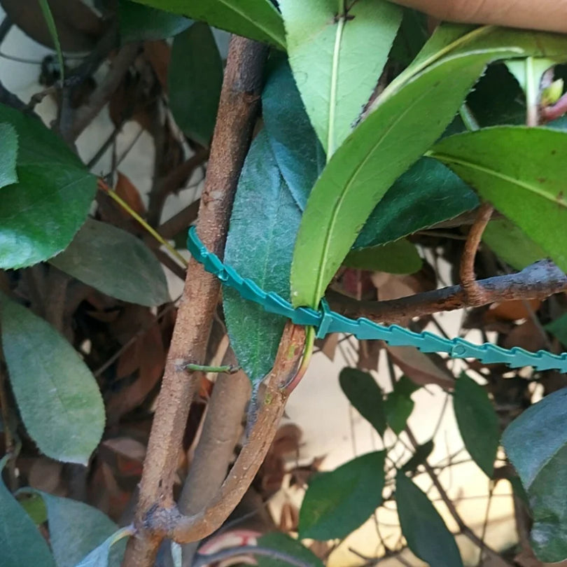50pcs Adjustable Plant Cable Ties - Reusable Garden Support