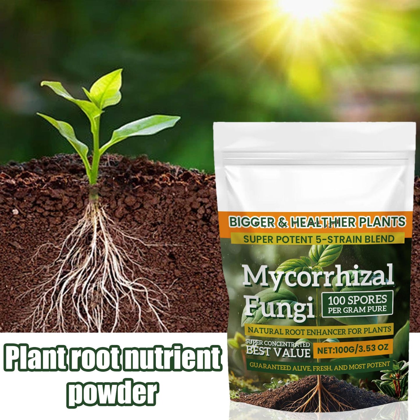 Plant Fertilizer Powder 100g: Boost Growth & Rooting
