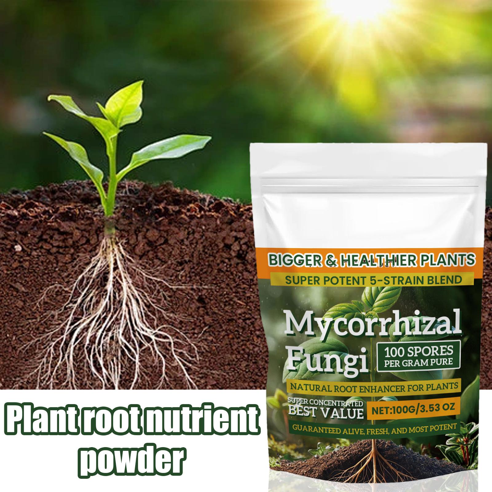Plant Fertilizer Powder 100g: Boost Growth & Rooting