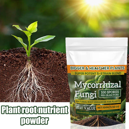 Plant Fertilizer Powder 100g: Boost Growth & Rooting