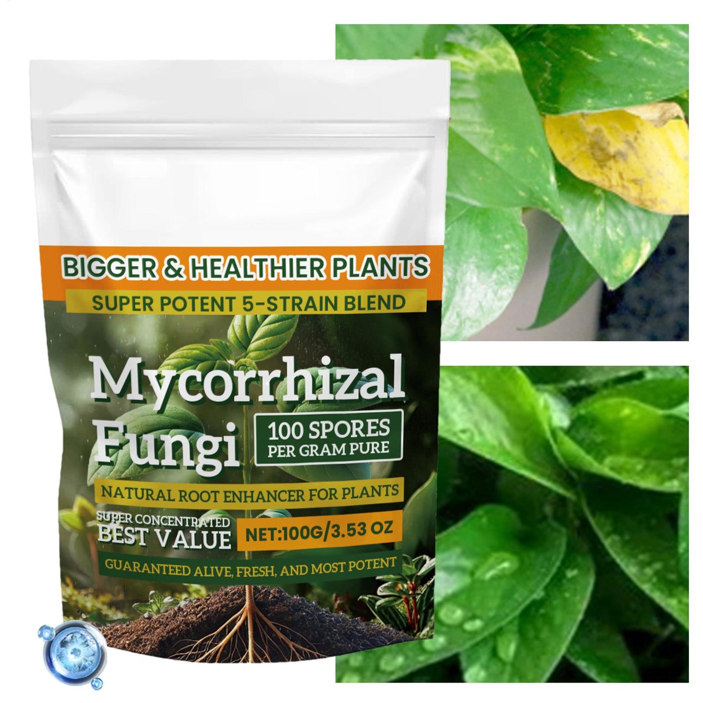 Plant Fertilizer Powder 100g: Boost Growth & Rooting