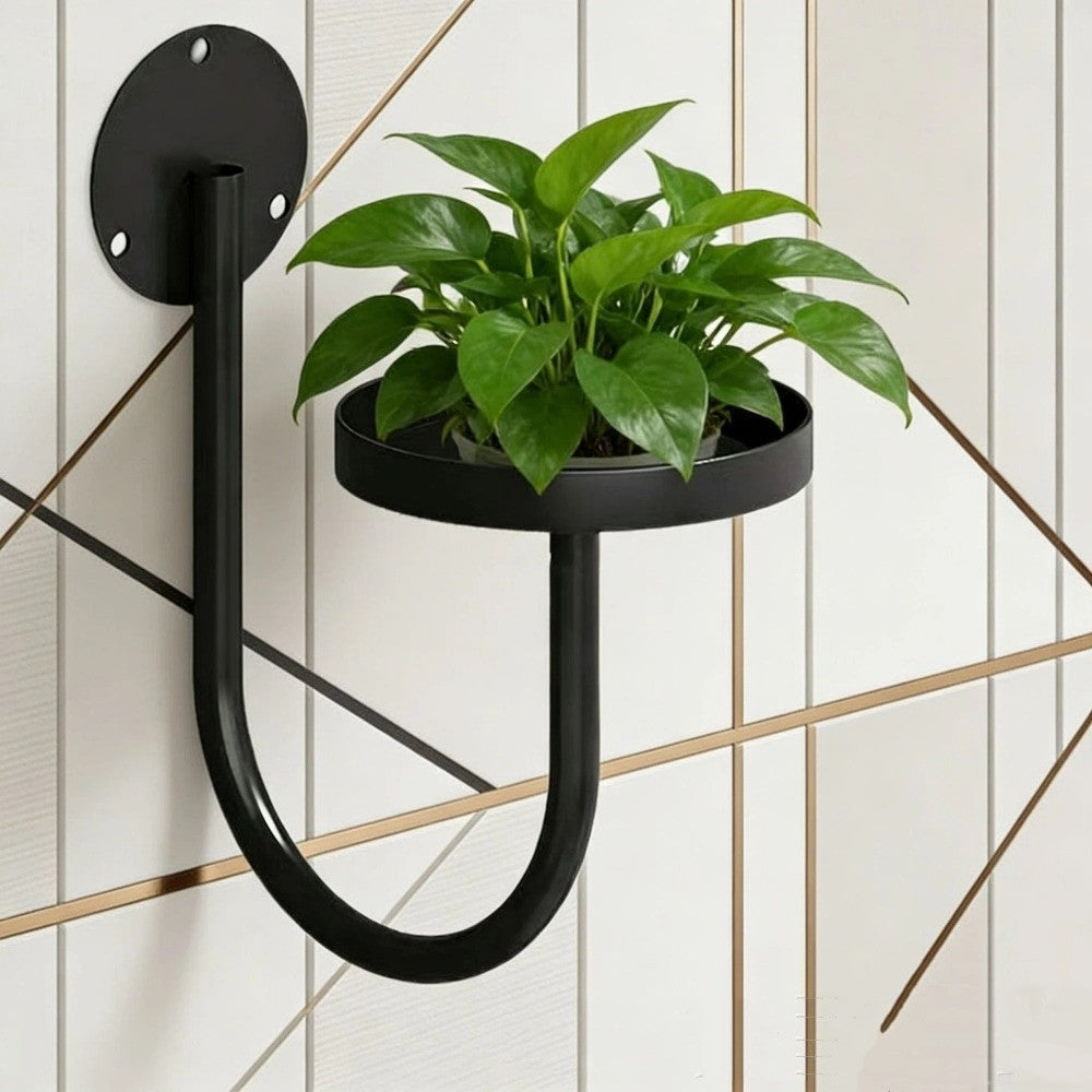 Sturdy Iron Wall Mounted Plant Holder Space Saving Bonsai Hanging Hanging Plant Stand Wall Art Black Storage Shelf Balcony