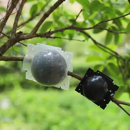 Reusable Plant Root Growing Ball High Pressure Propagation Box Lock-Type Air Layering Grafting Rooting Device for Garden Tree Br